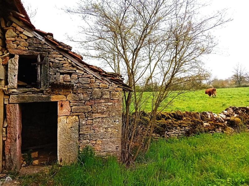 Maison - 57 m² - 2 pièces