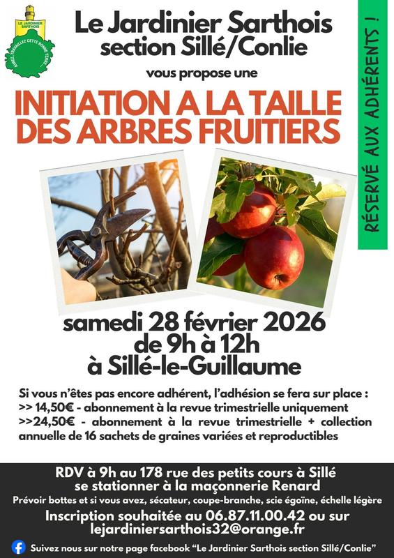 Initiation à la taille des arbres fruitiers