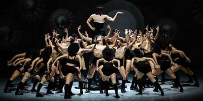 Spectacle - Afanador