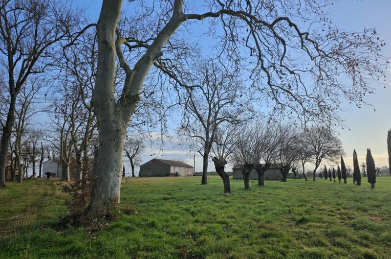 Corps de ferme - 486 m² - 10 pièces