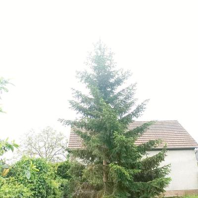 Terrain constructible - 327 m²