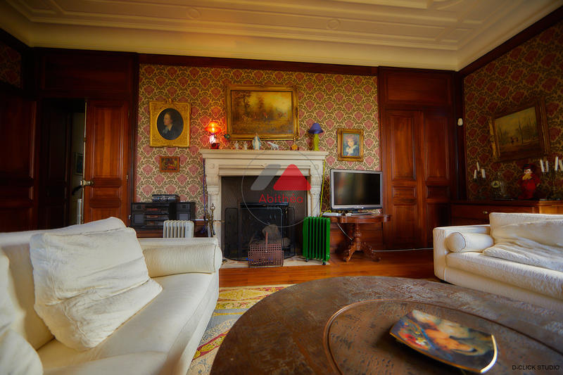 Château - 1 700 m² - 33 pièces