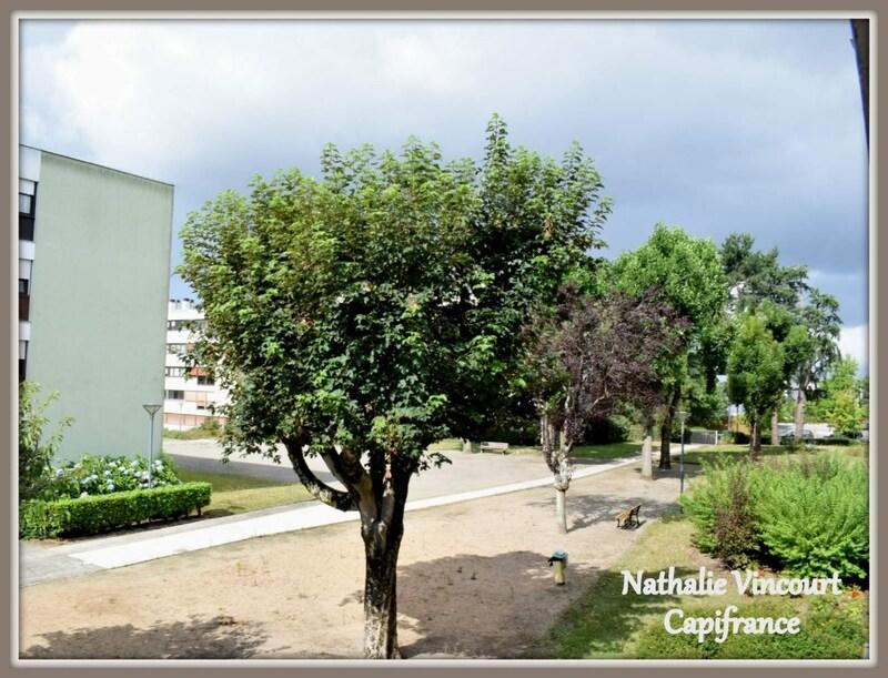 Appartement - 58 m² - 3 pièces