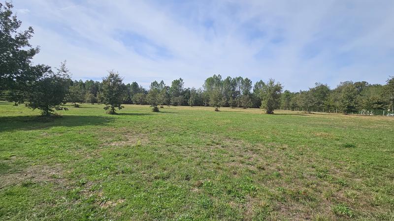 Terrain - 11 969 m²