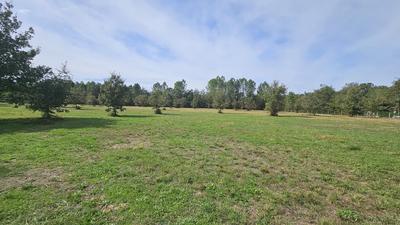 Terrain - 11 969 m²