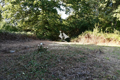 Maison en pierre - 110 m² - 5 pièces