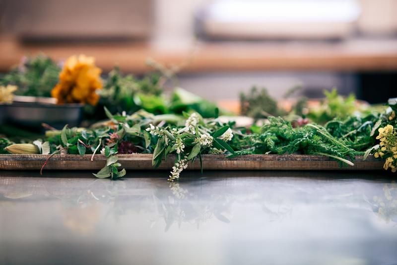 Cueillette d'herbes sauvages