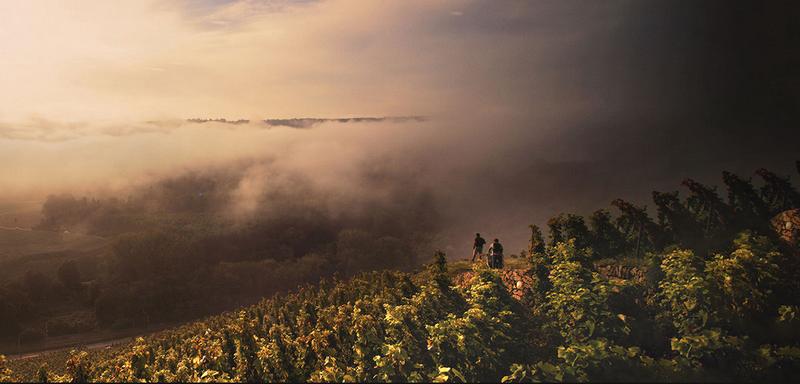 Les chaillées de l'enfer | Rencontre avec le réalisateur et deux femmes vigneronnes