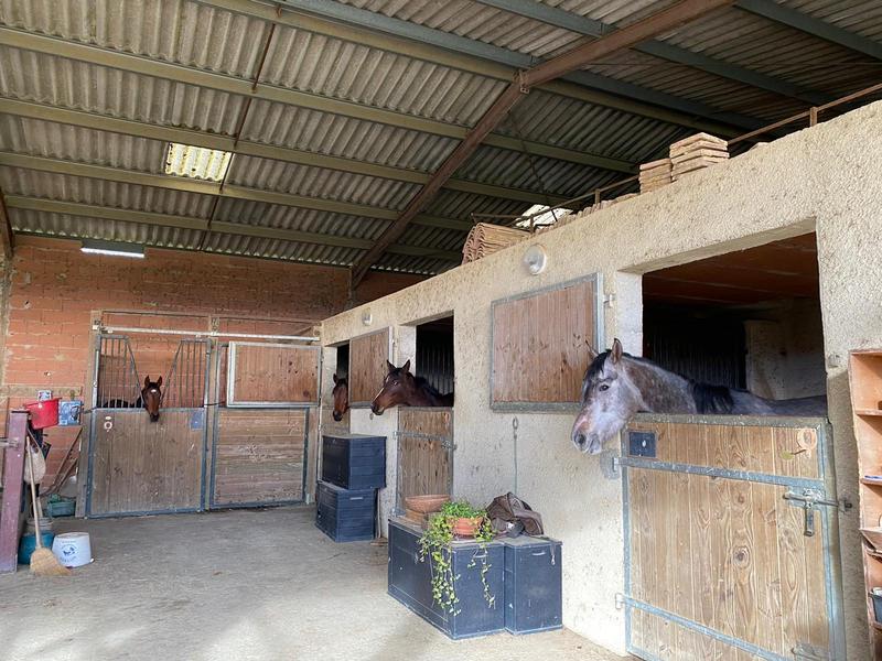 Maison - 246 m² - 6 pièces