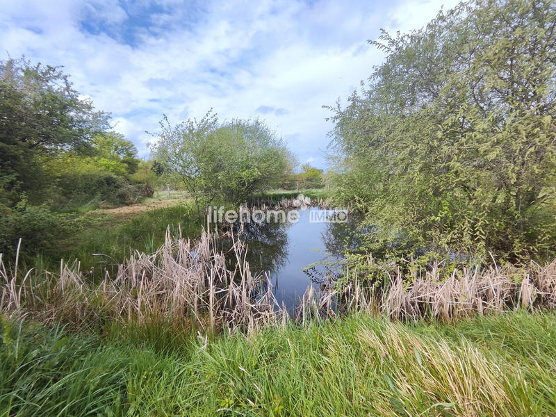 Maison ancienne - 240 m² - 7 pièces