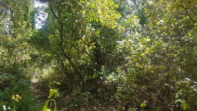 Terrain - 11 610 m²