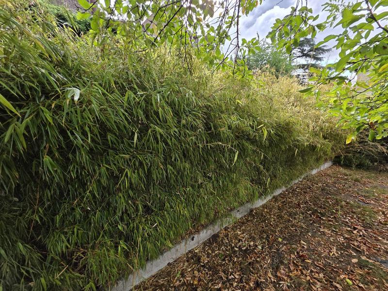 Maison - 78 m² - 5 pièces