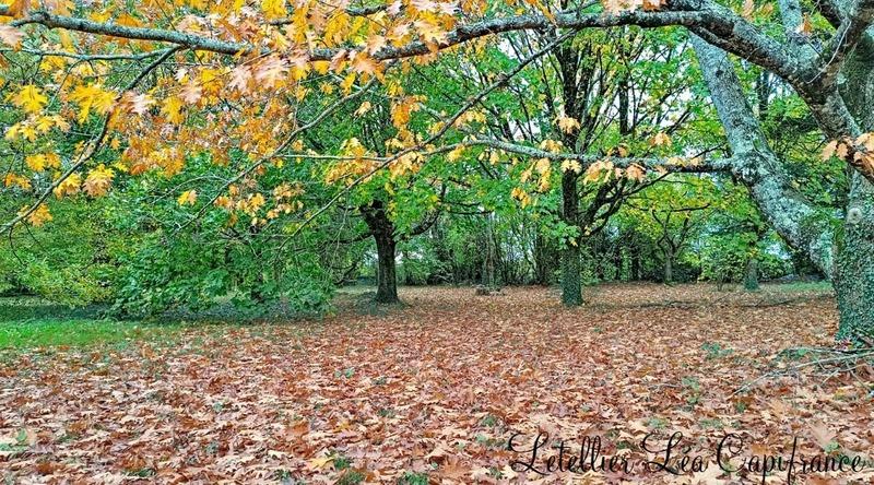 Propriété - 188 m² - 5 pièces