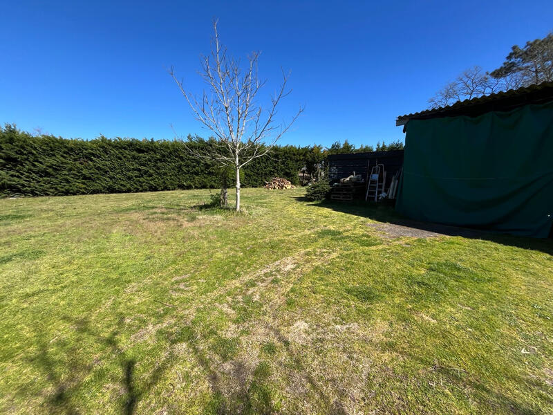 Viager - Maison - 1 pièce