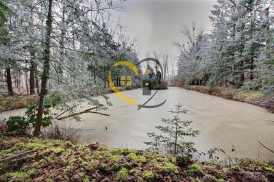 Terrain inconstructible - 10 477 m²