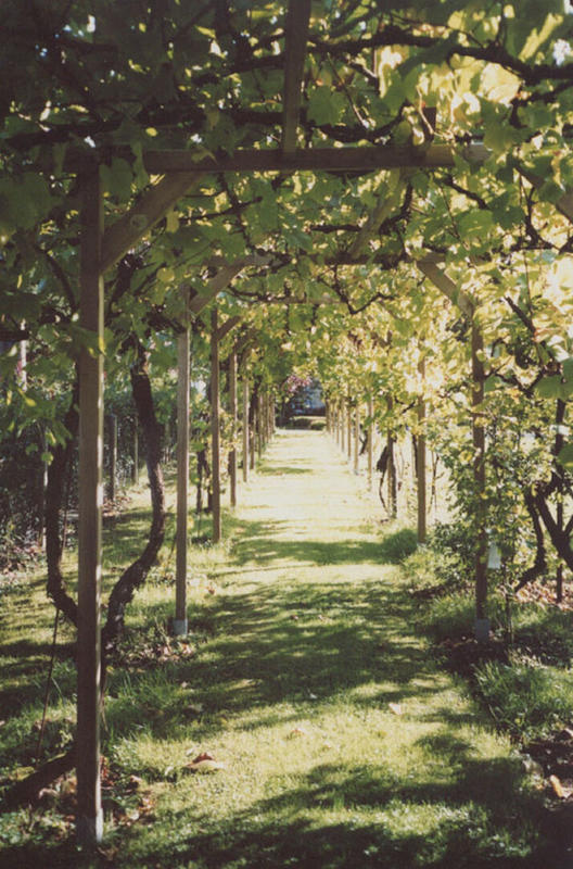 Maison - 220 m² - 11 pièces