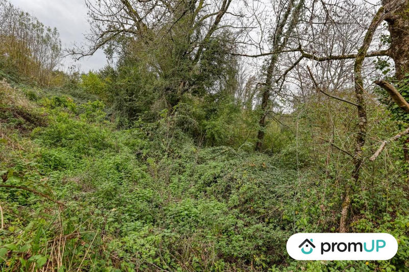 Terrain - 17 000 m²