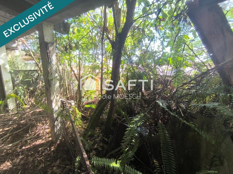 Maison - 50 m² - 2 pièces