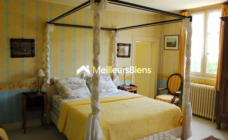 Château - 1 250 m² - 30 pièces