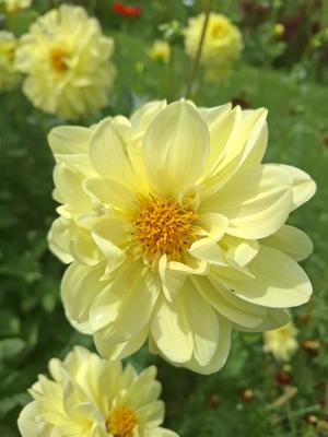 Promenade les Salles des Ventes Drouot, les Passages Couverts et leurs boutiques