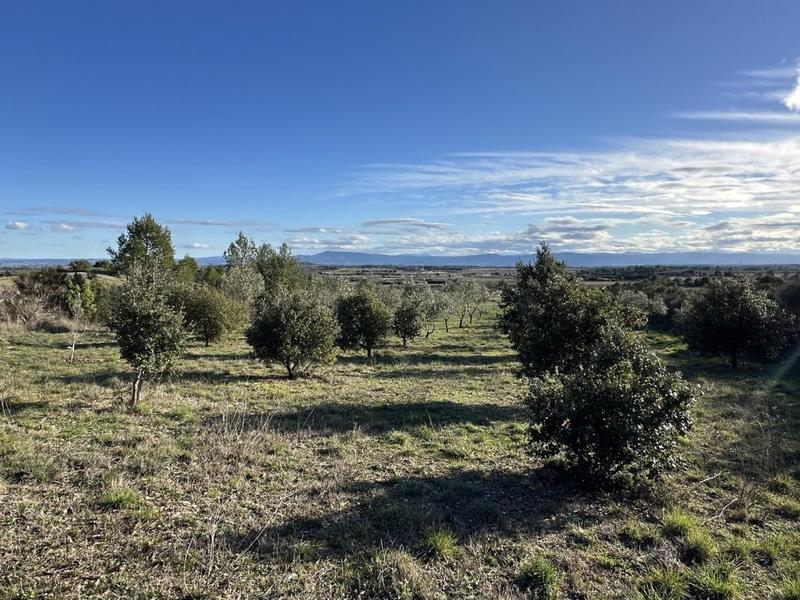 Terrain de loisirs - 10 189 m²