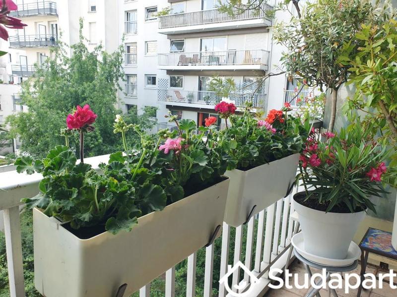 Chambre - 35 m² - 1 pièce