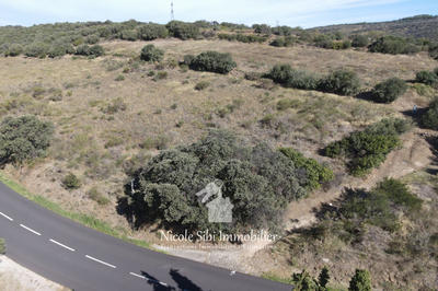 Terrain agricole - 15 907 m²