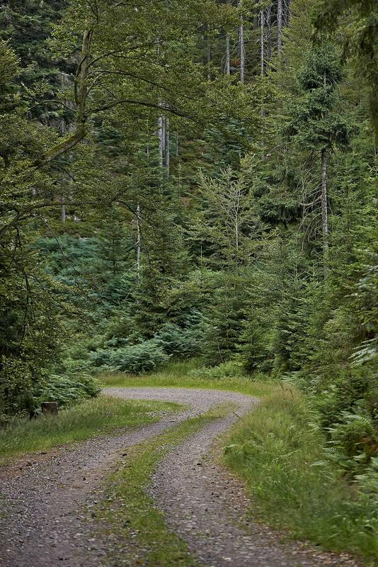 Sentiers Plaisir : le sentier des Passeurs