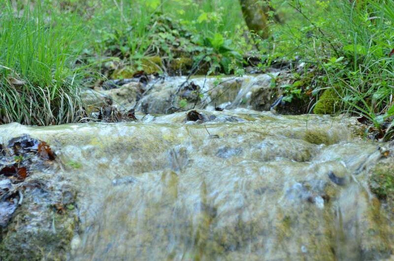 Les marais tufeux de pente