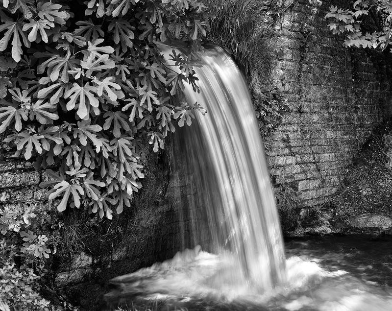 "Eau Vive" Exposition photographique