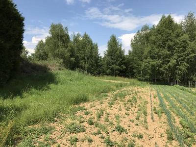 Maison - 160 m² - 1 pièce