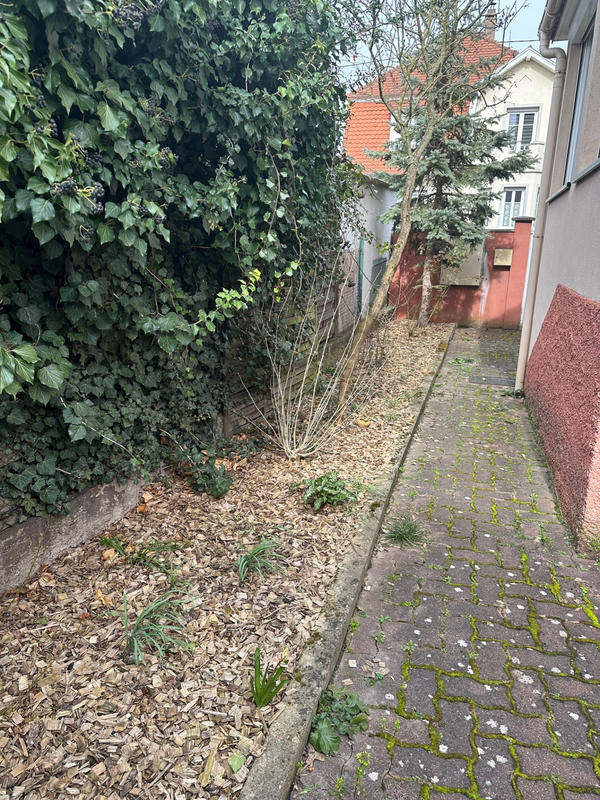 Maison - 188 m² - 7 pièces