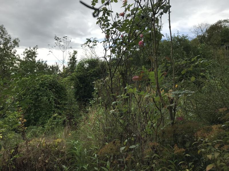 Maison ancienne - 83 m² - 3 pièces