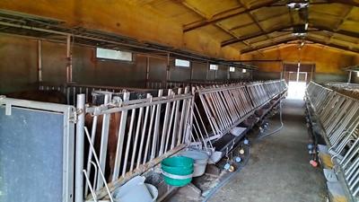 Corps de ferme - 230 m² - 5 pièces