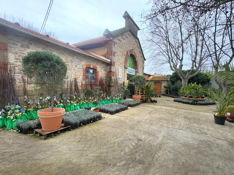 Local commercial - 200 m² - 3 pièces