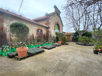 Local commercial - 200 m² - 3 pièces