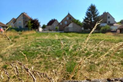 Terrain constructible - 1 071 m²