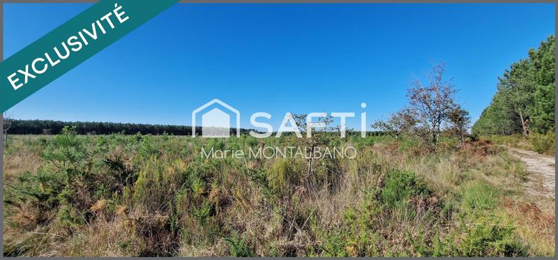 Terrain - 16 696 m²