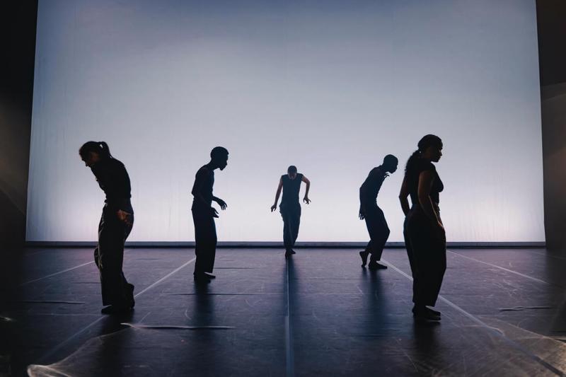 Projection : Spectacle de danse “Queen Blood”