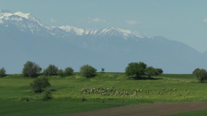 Soirée astrale #20 Été