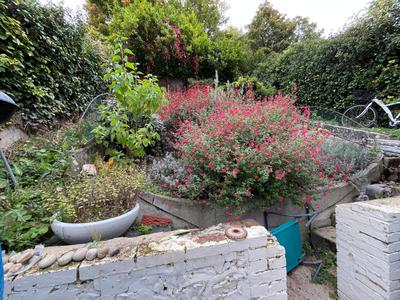 Maison - 76 m² - 3 pièces