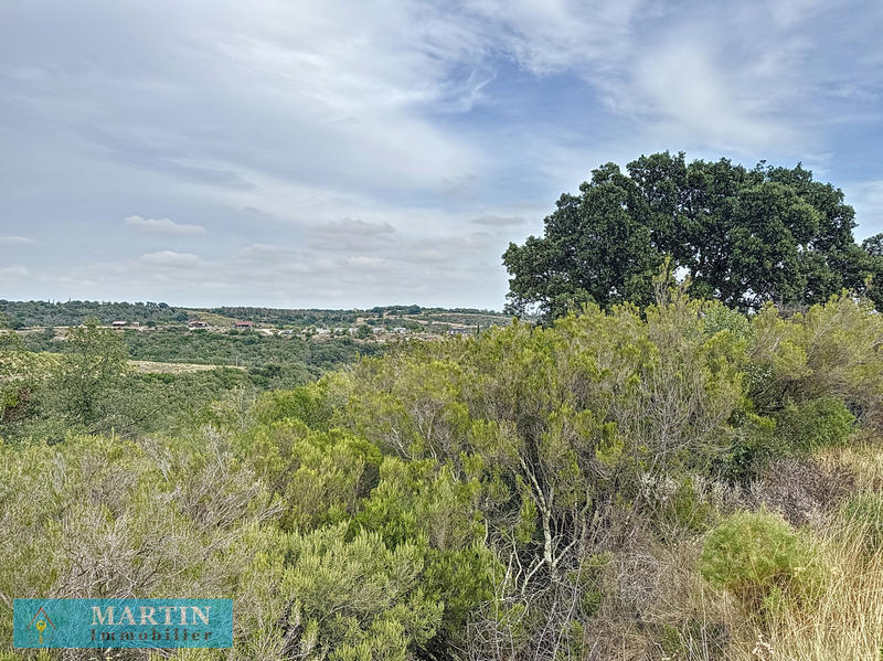 Terrain de loisirs - 24 490 m²