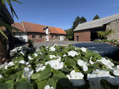 Maison - 203 m² - 5 pièces