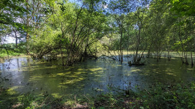 Terrain - 45 170 m²