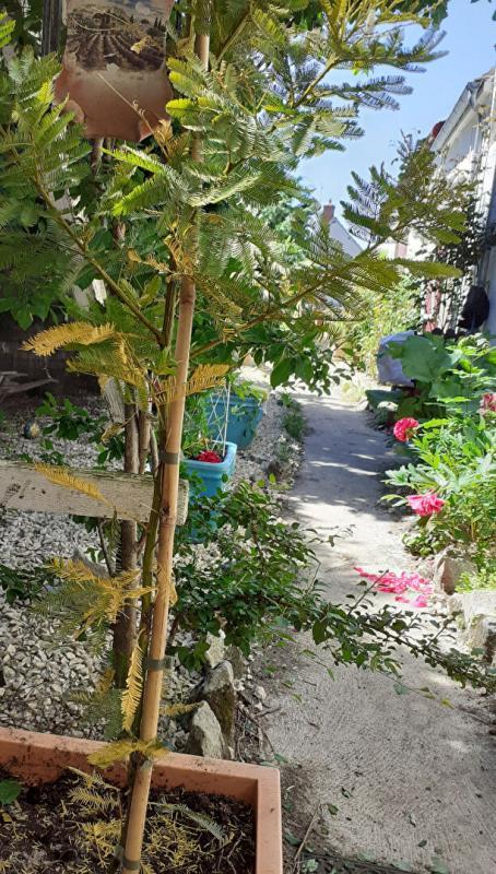 Maison - 99 m² - 4 pièces