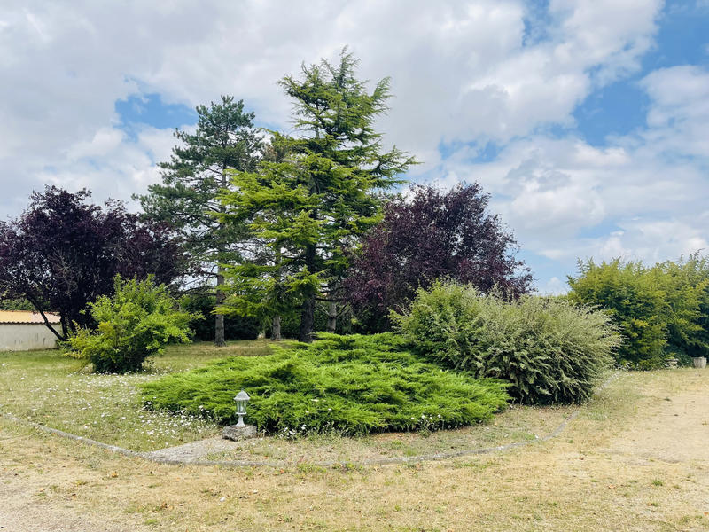 Maison - 165 m² - 5 pièces