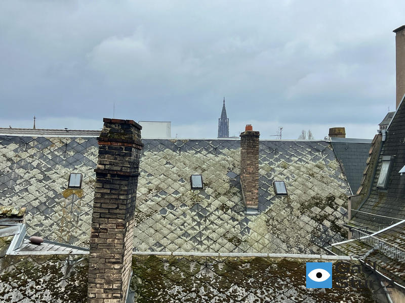 Appartement - 41 m² - 1 pièce