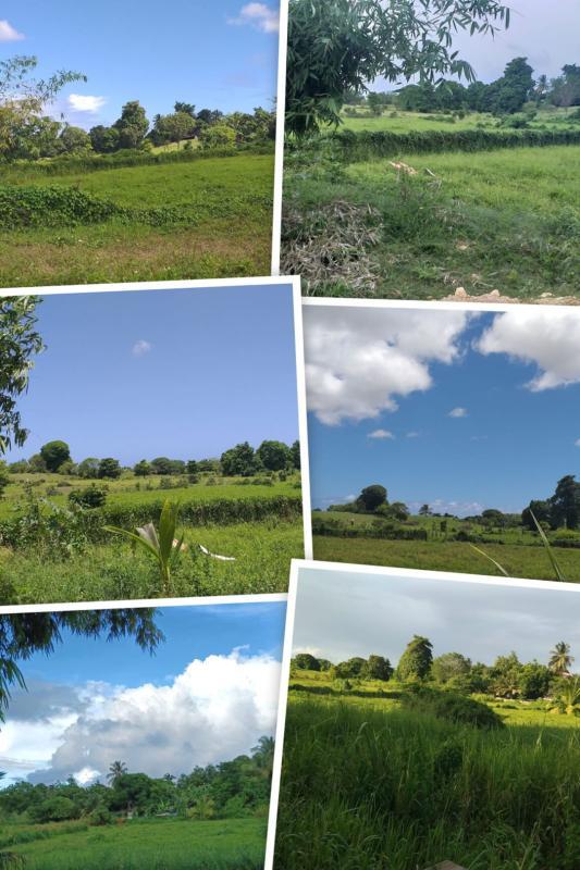 Maison - 187 m² - 5 pièces