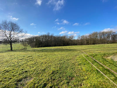 Terrain constructible - 1 561 m²