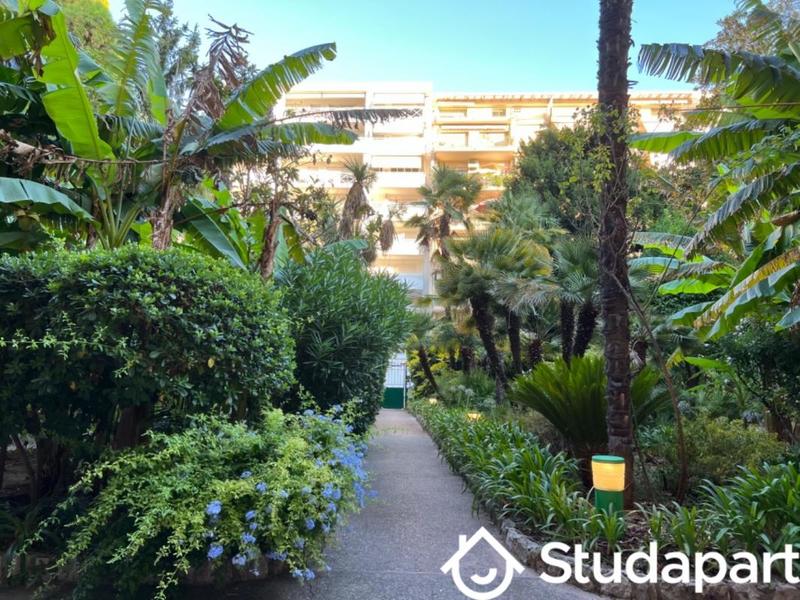 Appartement - 35 m² - 1 pièce